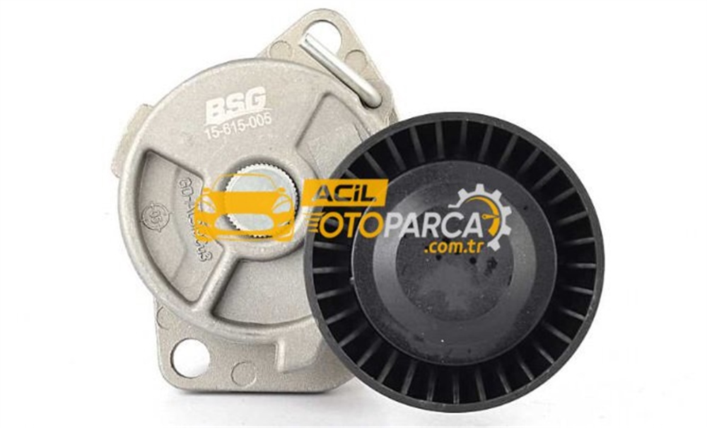 Bmw 3 Serisi E46 Kasa M43 Kayış Gergi Kütüğü Komple Bsg Marka
