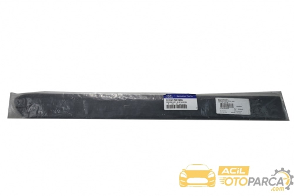 
Hyundai Accent 03-06 Kapı Çıtası Arka Sağ

