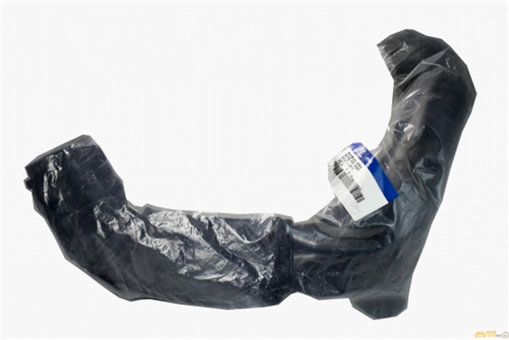 
Hyundai Getz 2006-2011 Hava Giriş Körüğü

