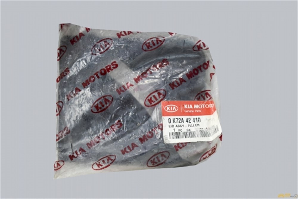 
Kia Preggio 2005-Yakıt Depo Kapak Sacı

