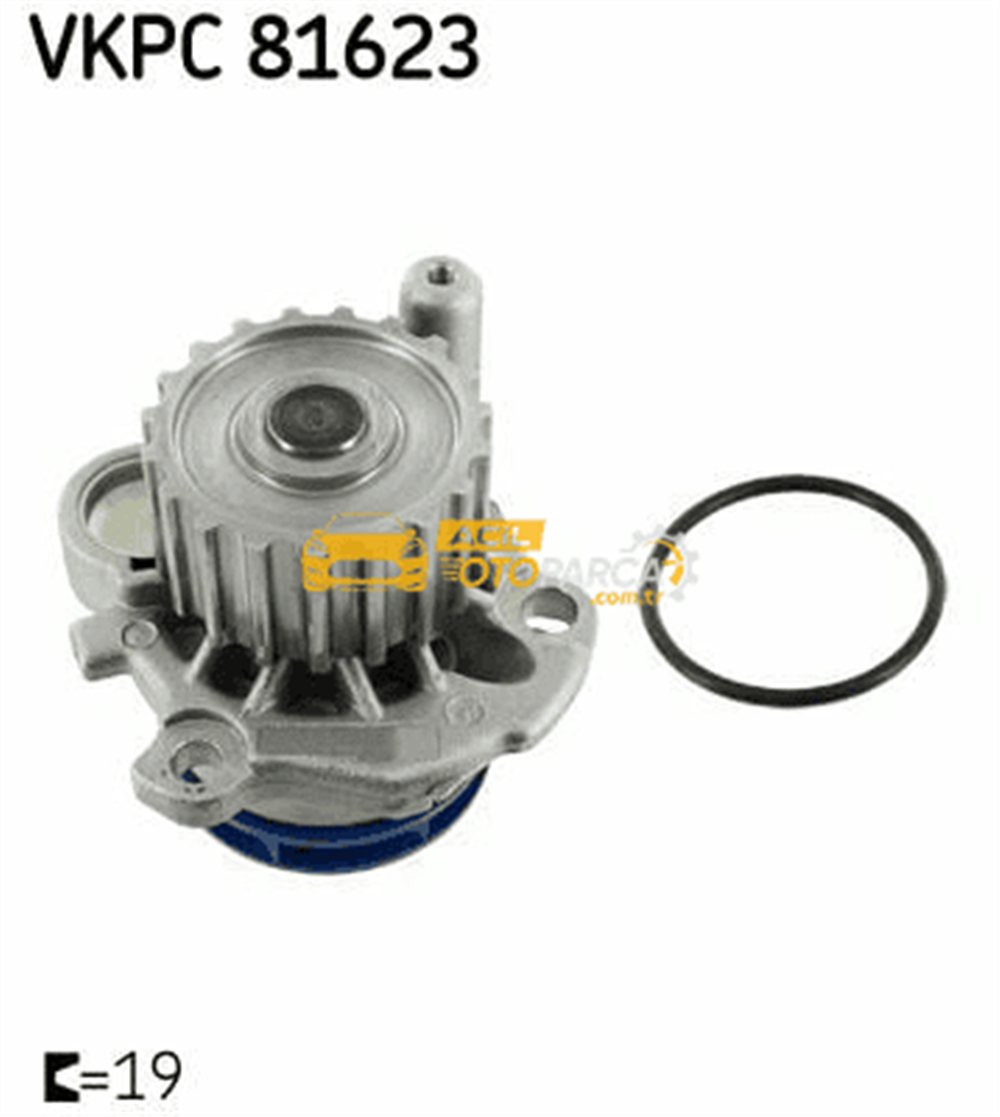 Volkswagen SKF VKPC81623 | Devirdaim Golf IV Passat Leon Cordoba A3 A4 Superb 1.9 TDI 2.0 TDI Avf Avm Bkd Cbab Cbbb Awx Ajm Atj Atd