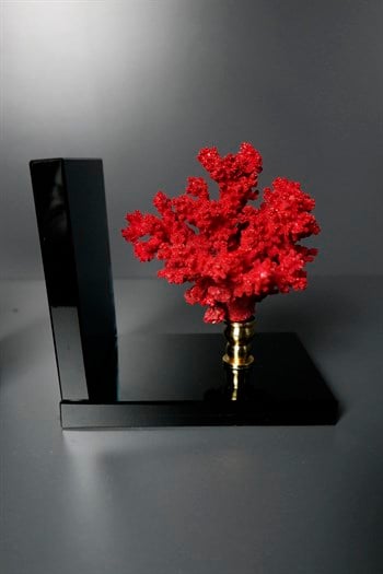 2li Siyah Kristal Cam Kaide Kırmızı Doğal Mercan Kitap Tutucu Dekoratif Kitap Tutucu