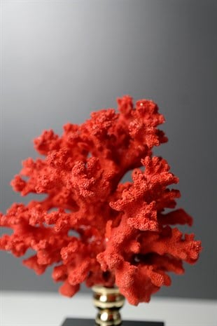 Kırmızı Mercan Siyah Cam Kaideli Dekoratif Obje 19 Cm Dekoratif Ev Aksesuarları