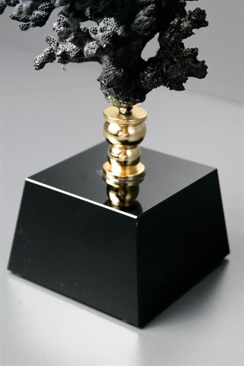 Siyah Cam Kiadeli Gold Detaylı Orijinal Dekoratif Obje Siyah Mercan 19 Cm Dekoratif Biblo