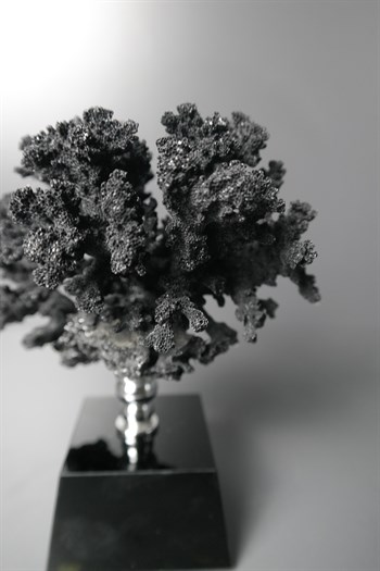 Siyah Cam Kiadeli Gümüş Detaylı Orijinal Dekoratif Obje Siyah Mercan 19 Cm Dekoratif Obje