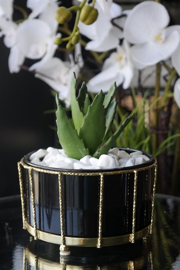 Siyah Gövde Pirinç Tel Detaylı Cam Saksı Yapay Bitki Arajmanlı 20 Cm Dekoratif Yapay Çiçek