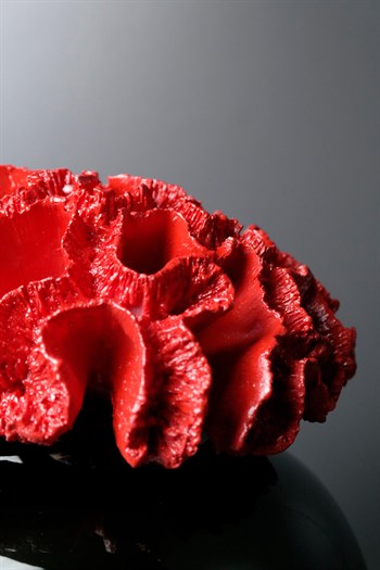 Siyah Seramik Kırmızı Mercan Kapaklı Yuvarlak Tombul Dekoratif Küp 28 Cm Dekoratif Küp