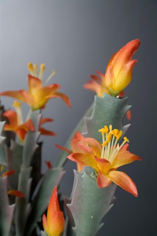 Turuncu Atlas Çiçeği Yapay Polyresin Saksılı 28 Cm Dekoratif Ev Aksesuarları