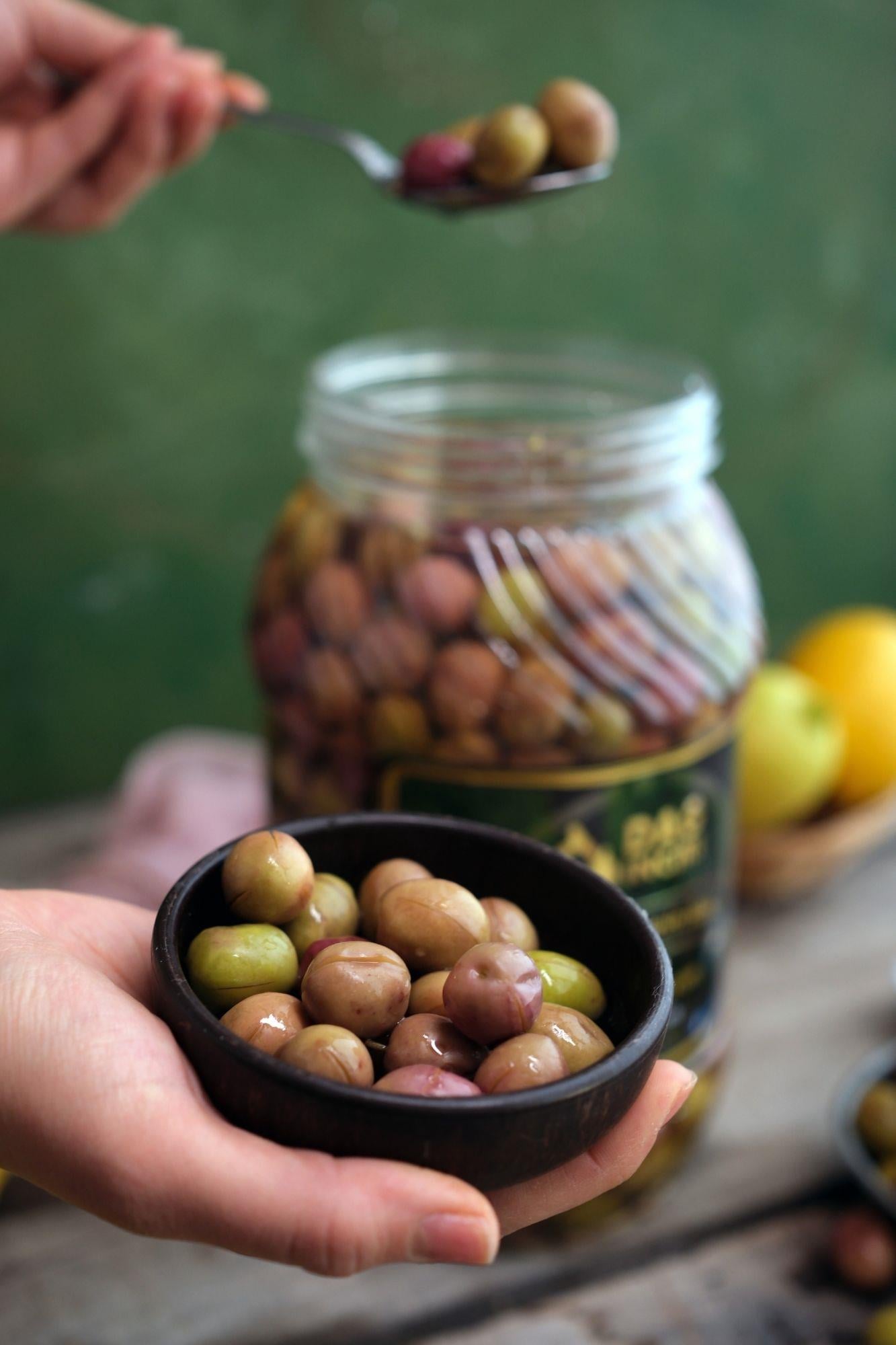 Manzalina Yağlı Çizik Zeytin (Alacalı ve Yeşil Karışık) 1350 gr