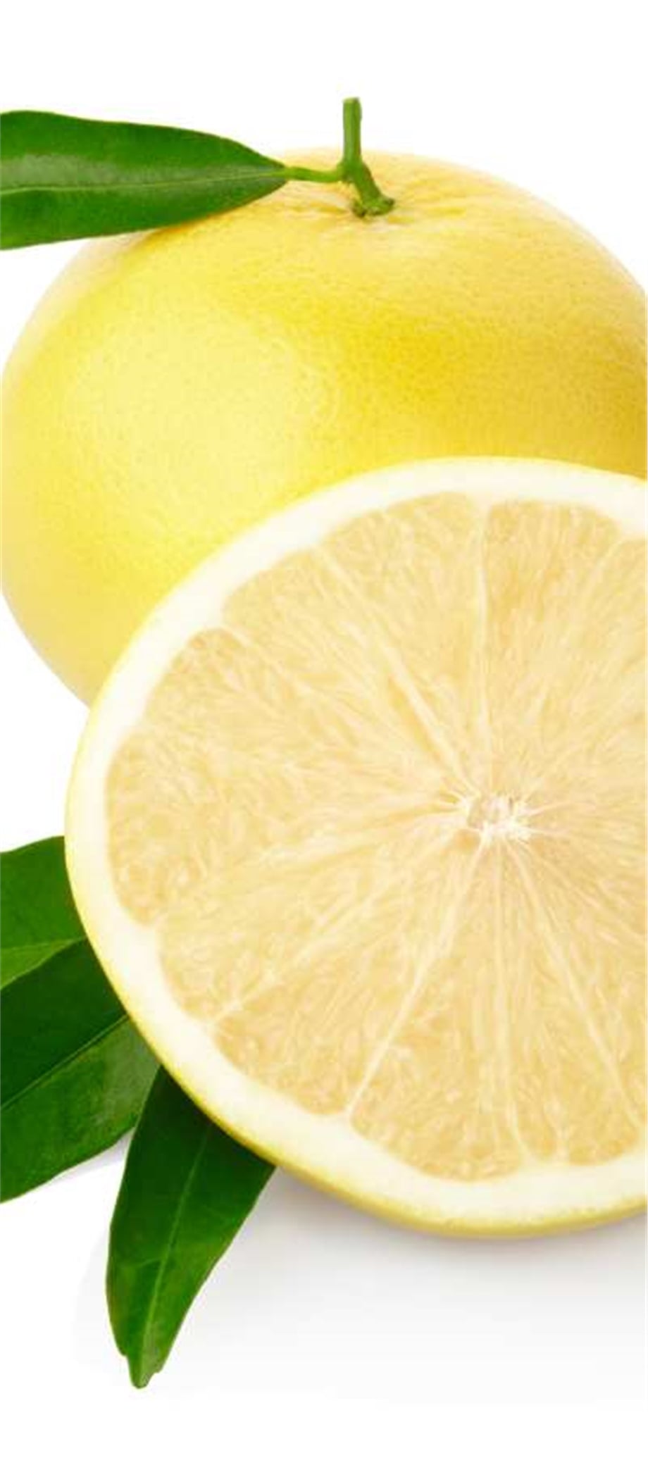 BEYAZ GREYFURT YAĞI