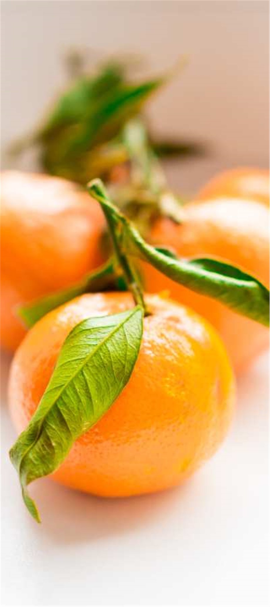 MANDARIN OIL, YELLOW