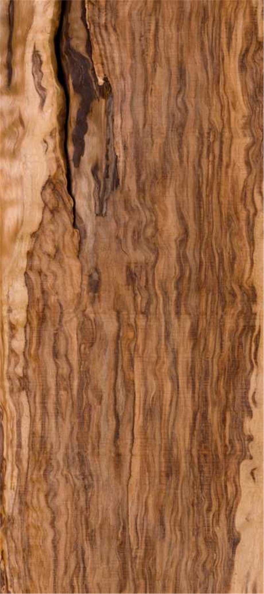 CEDARWOOD OIL, TEXAS