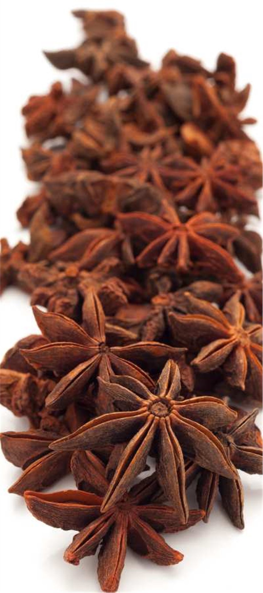 STAR ANISE OIL