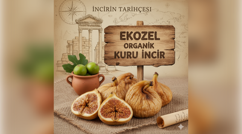 Organik Kuru İncir