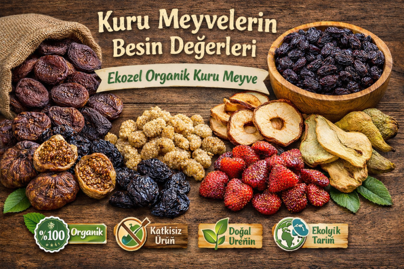Organik Kuru Meyveler