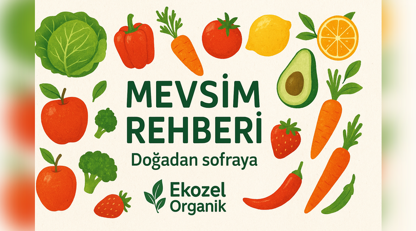 Mevsimsel Beslenme Takvimi