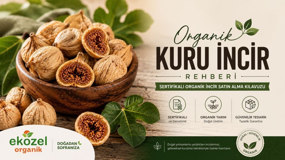 Organik Kuru İncir