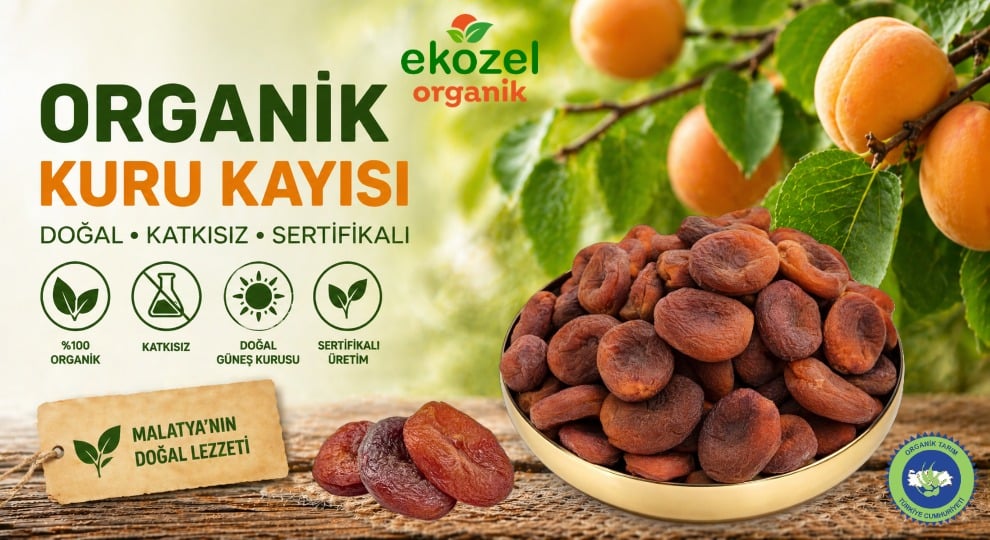 Organik Kuru Kayısı