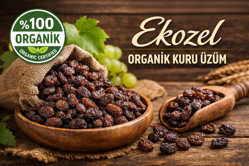Organik Çekirdeksiz Kuru Üzüm