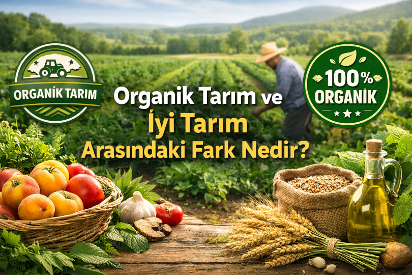 Organik Tarım Ürünleri