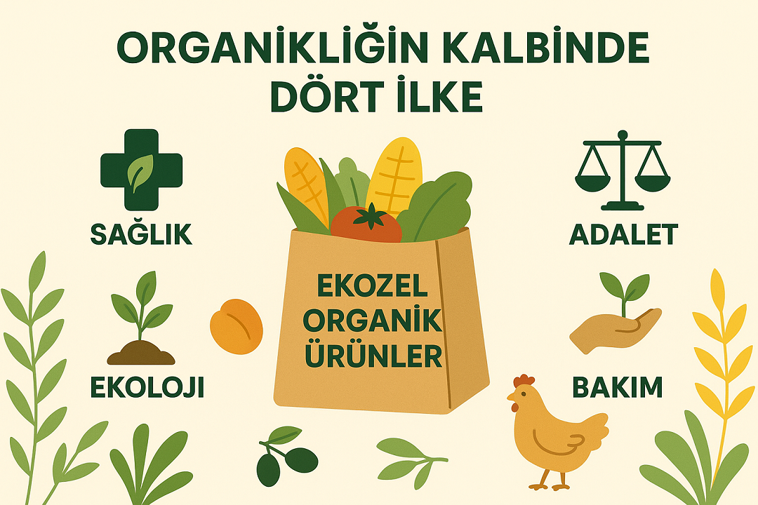 Organik Tarım