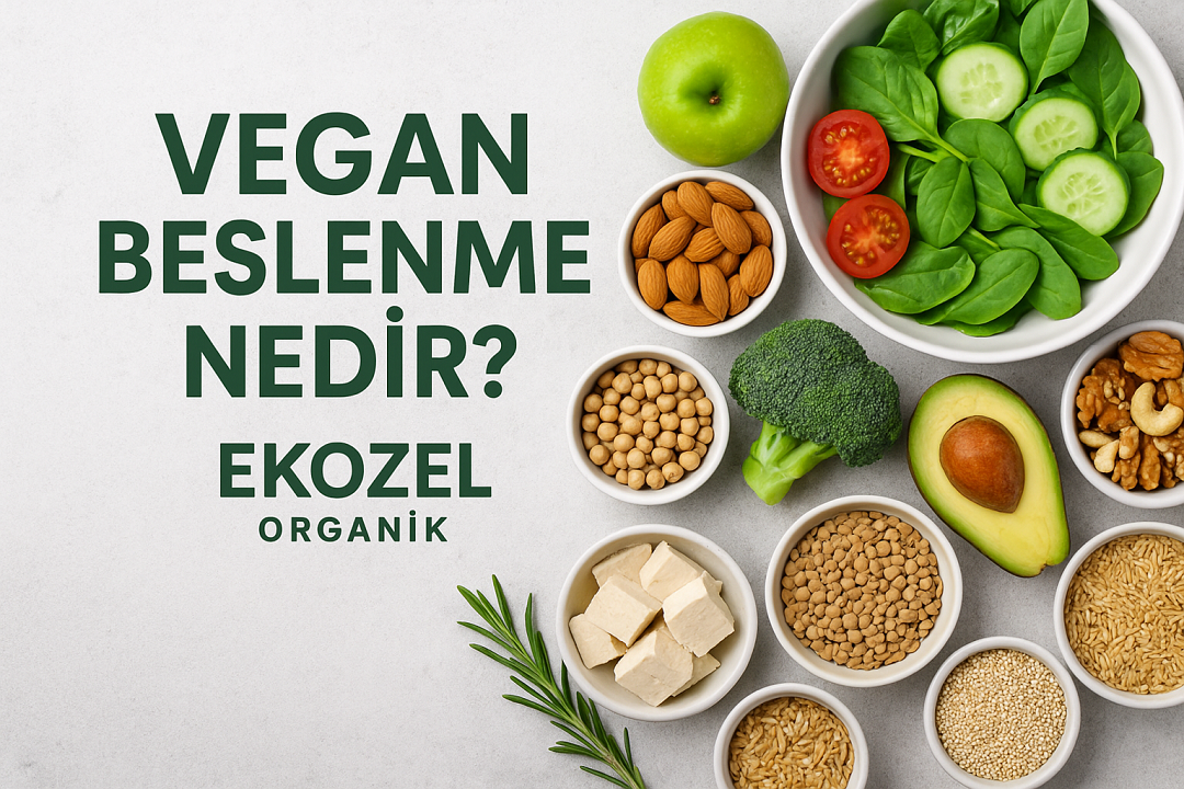 Vegan Beslenme