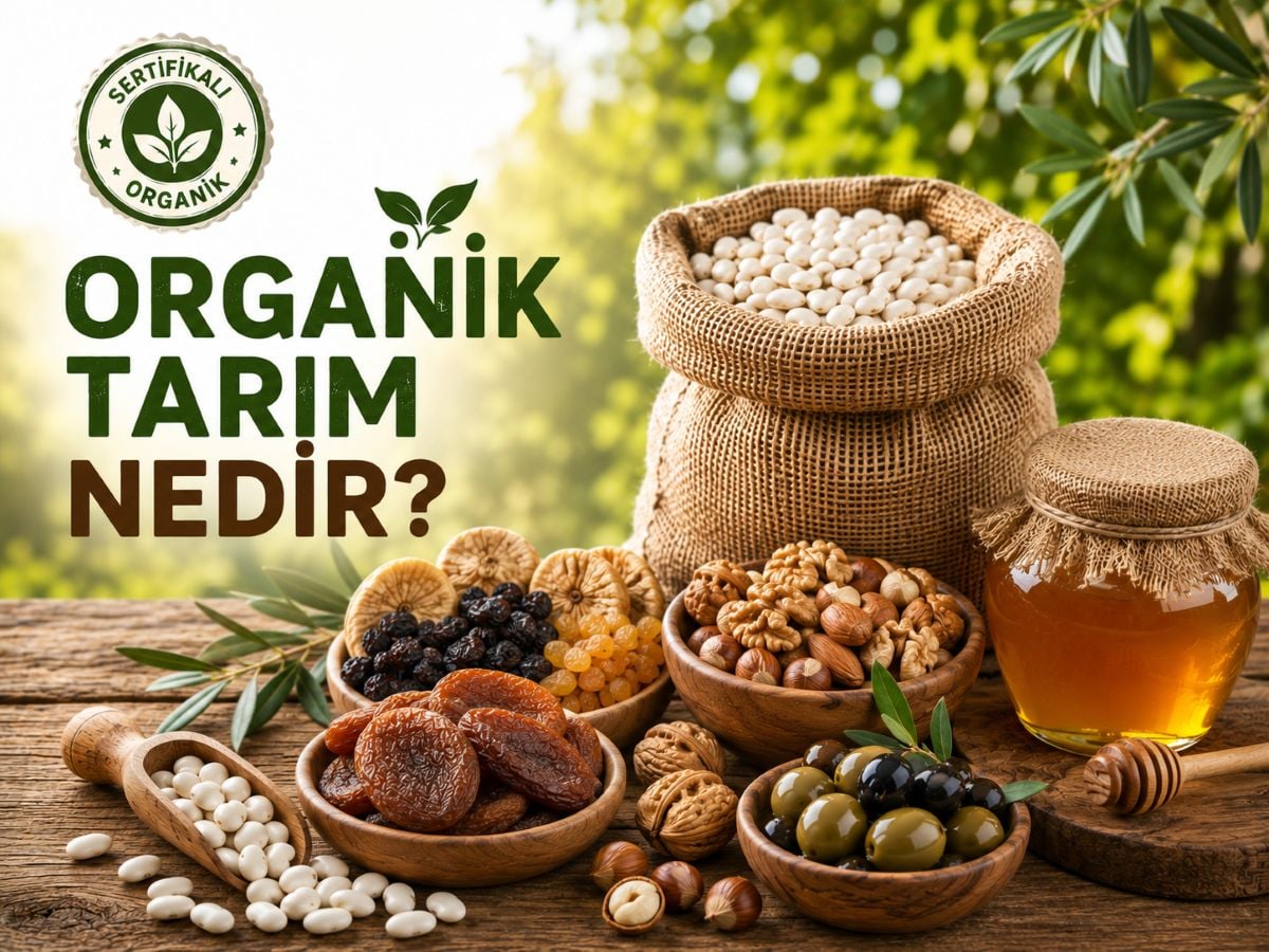 Organik Tarım Nedir