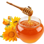 Organik Kahvaltılıklar