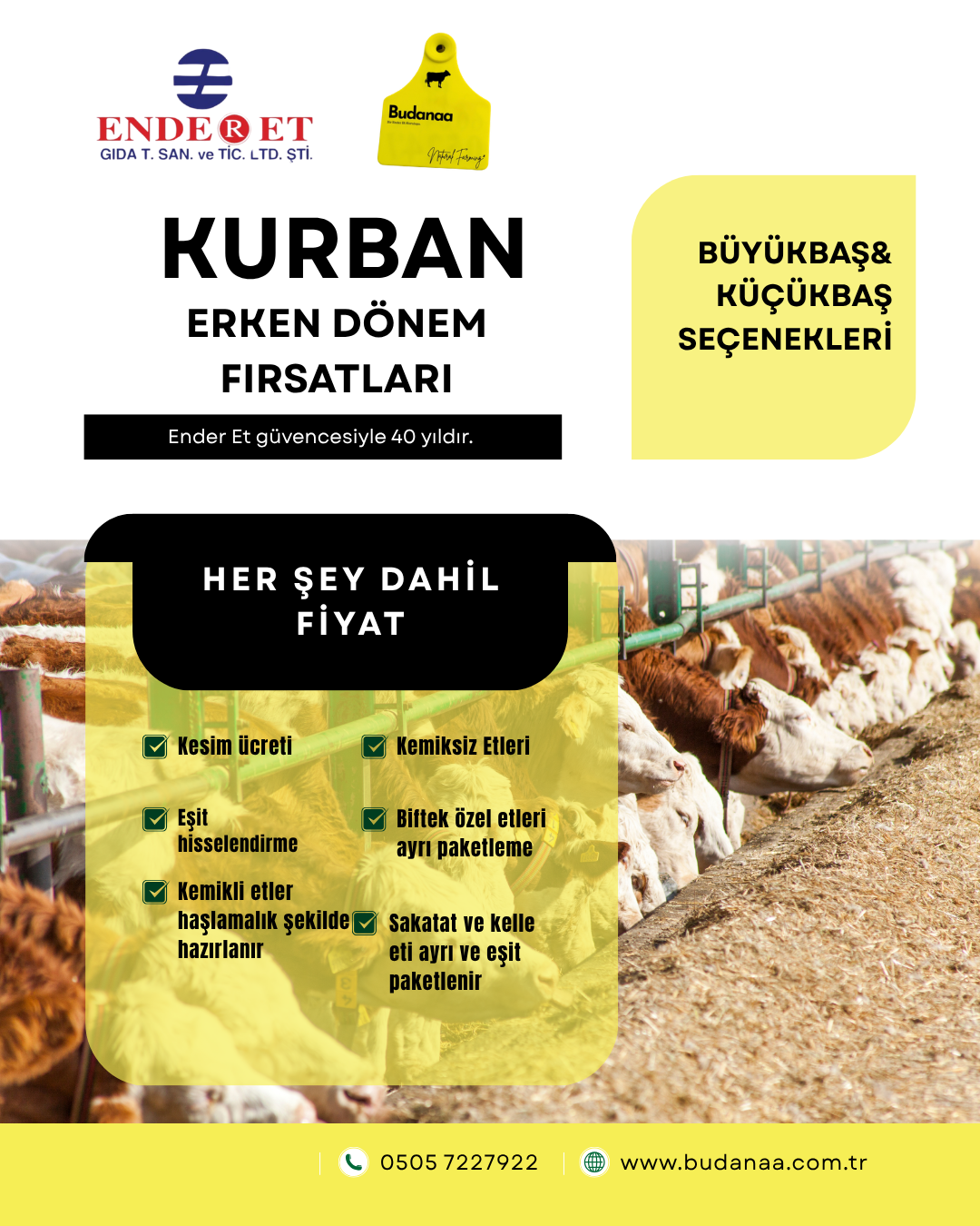 %100 Yerli Dana Kurban Hissesi 1 Adet