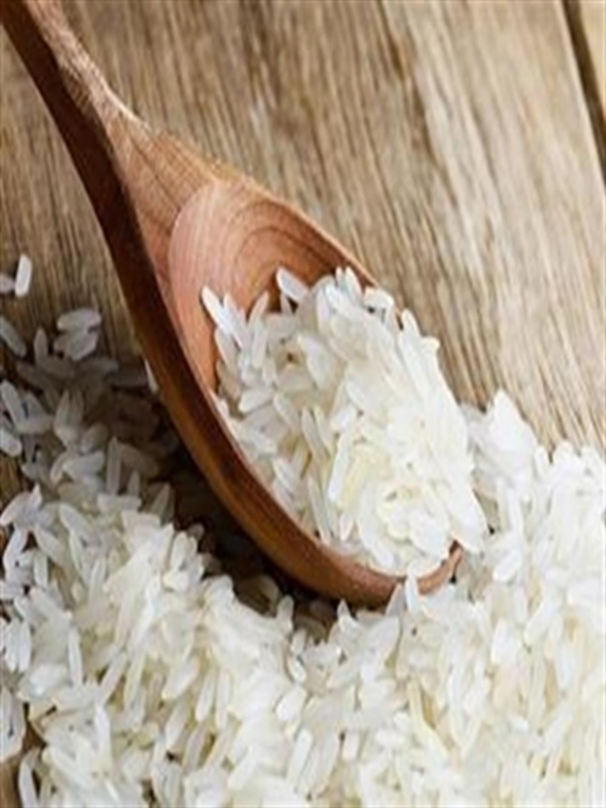 {KARAKOVAN PETEK BALI}