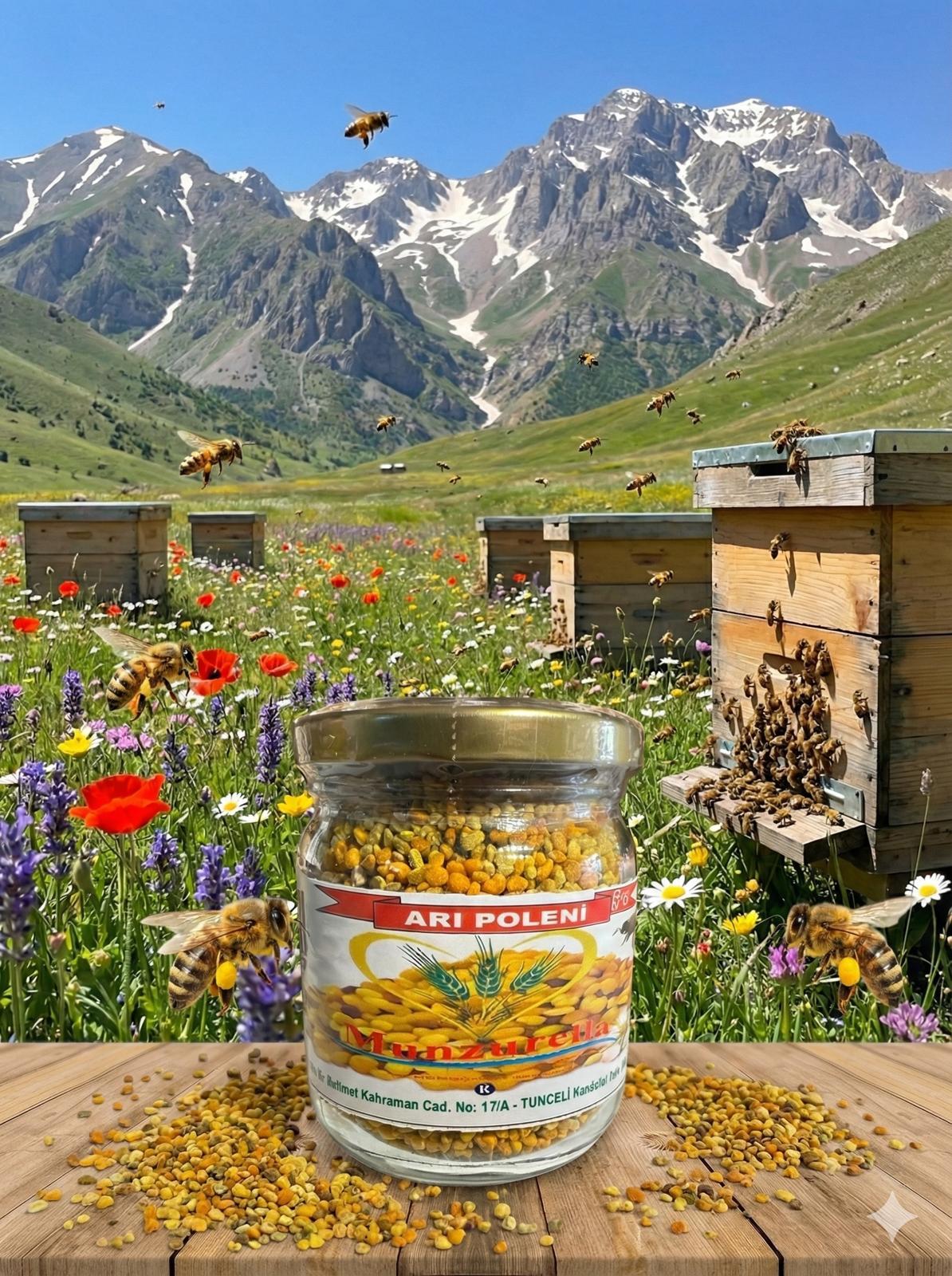 {KARAKOVAN PETEK BALI}