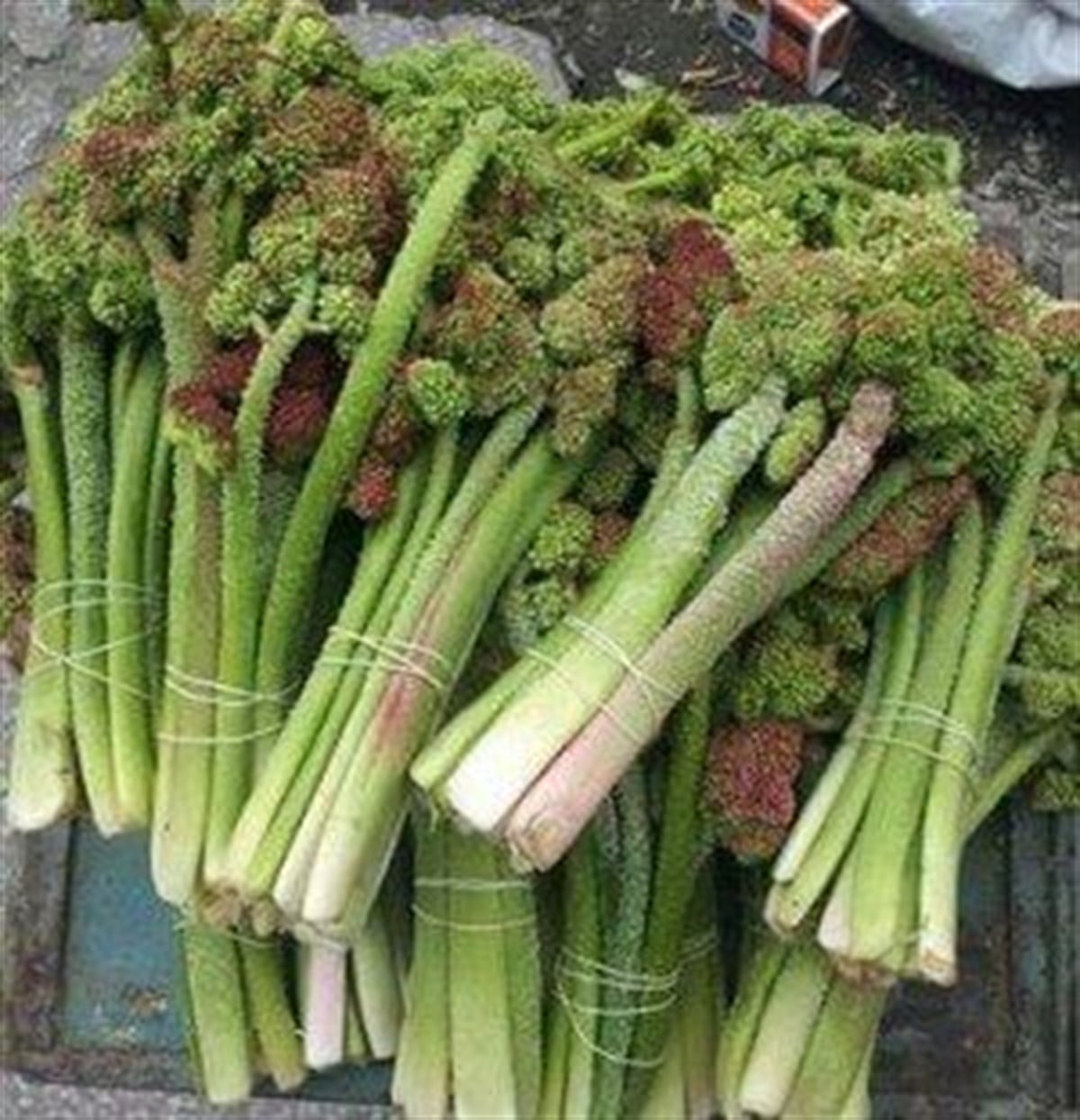 {KARAKOVAN PETEK BALI}