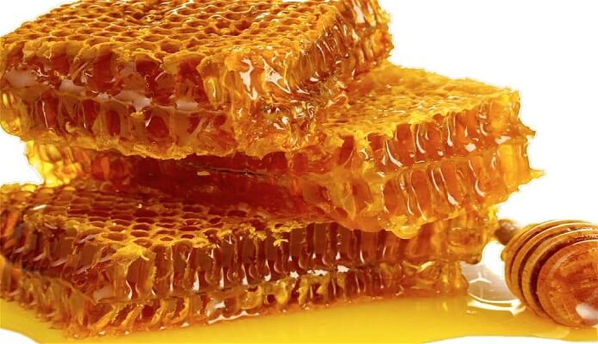 {KARAKOVAN PETEK BALI}