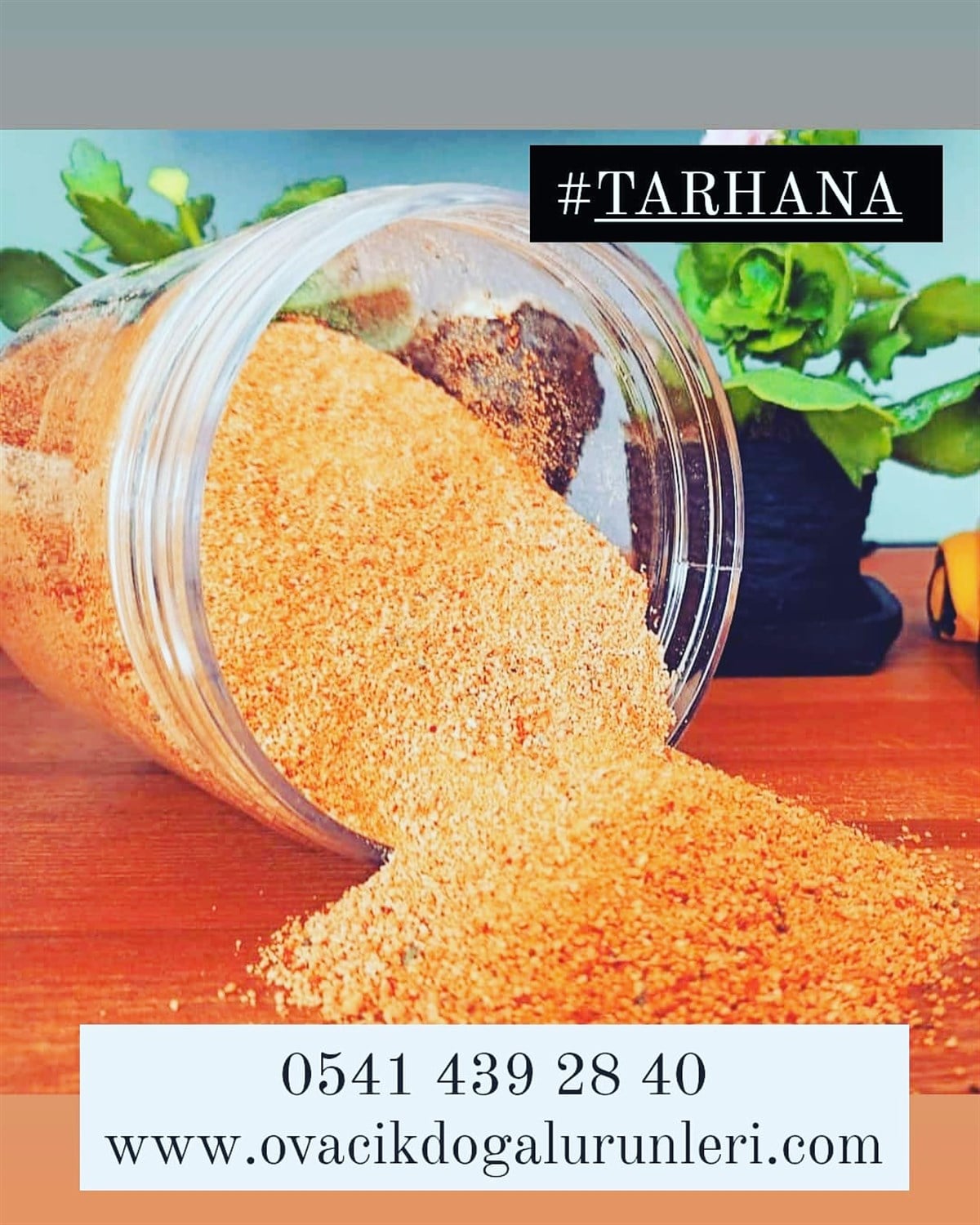 EV YAPIMI TOZ TARHANA (1KG)
