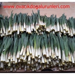 DOĞAL GULLİK (2KG)