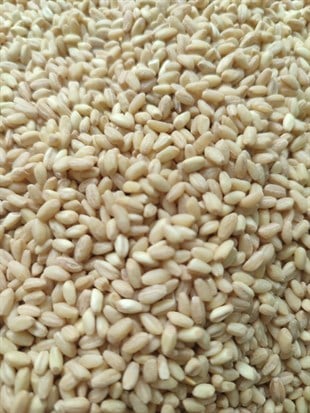 DÖVME BUĞDAY (AŞURE) 3 KG