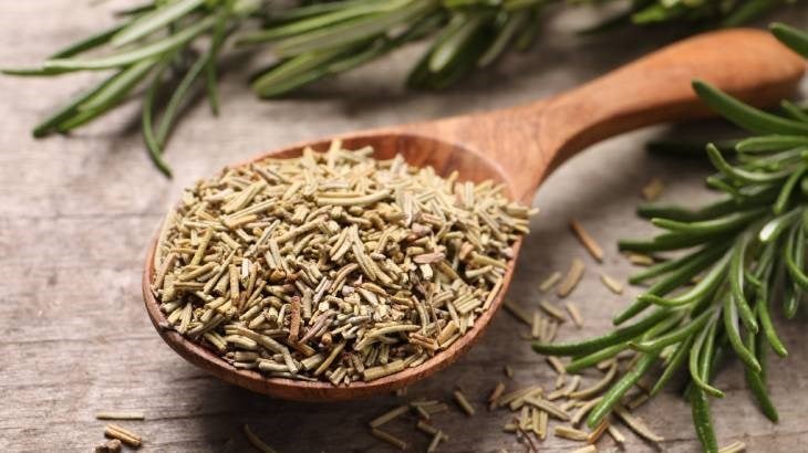 {KARAKOVAN PETEK BALI}