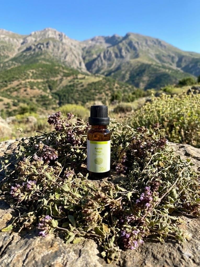 {KARAKOVAN PETEK BALI}