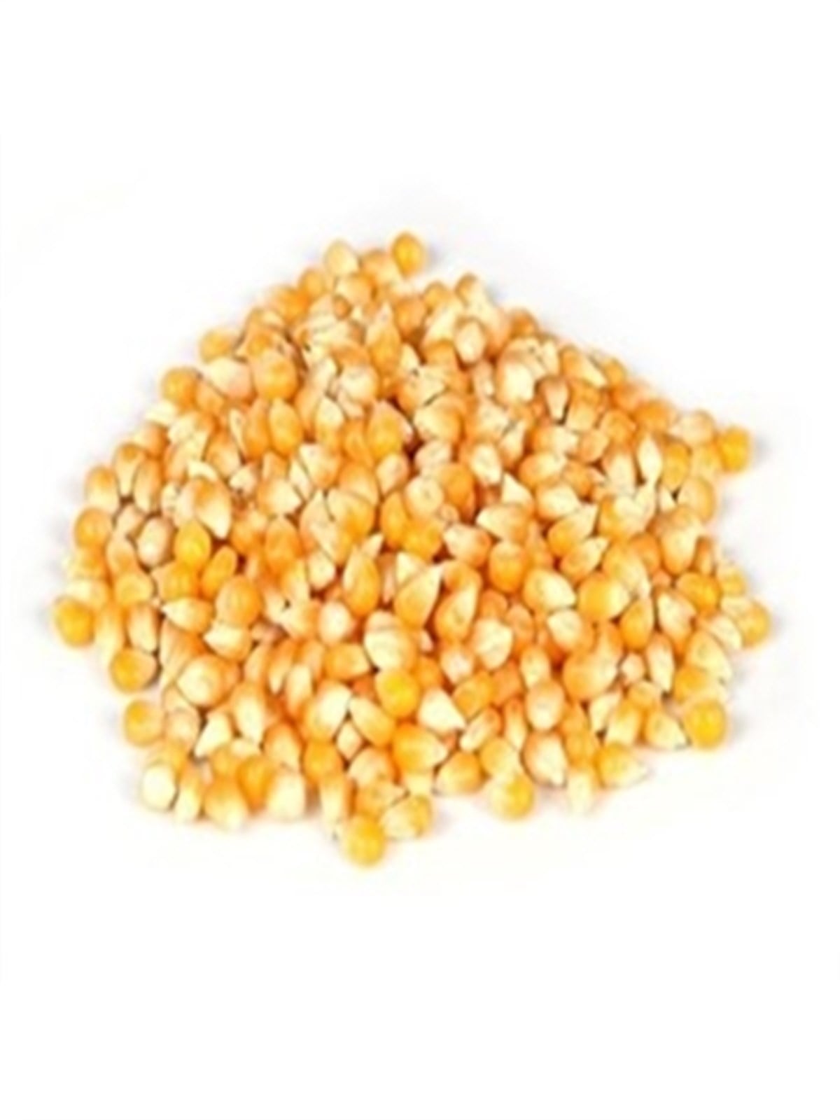 {KARAKOVAN PETEK BALI}