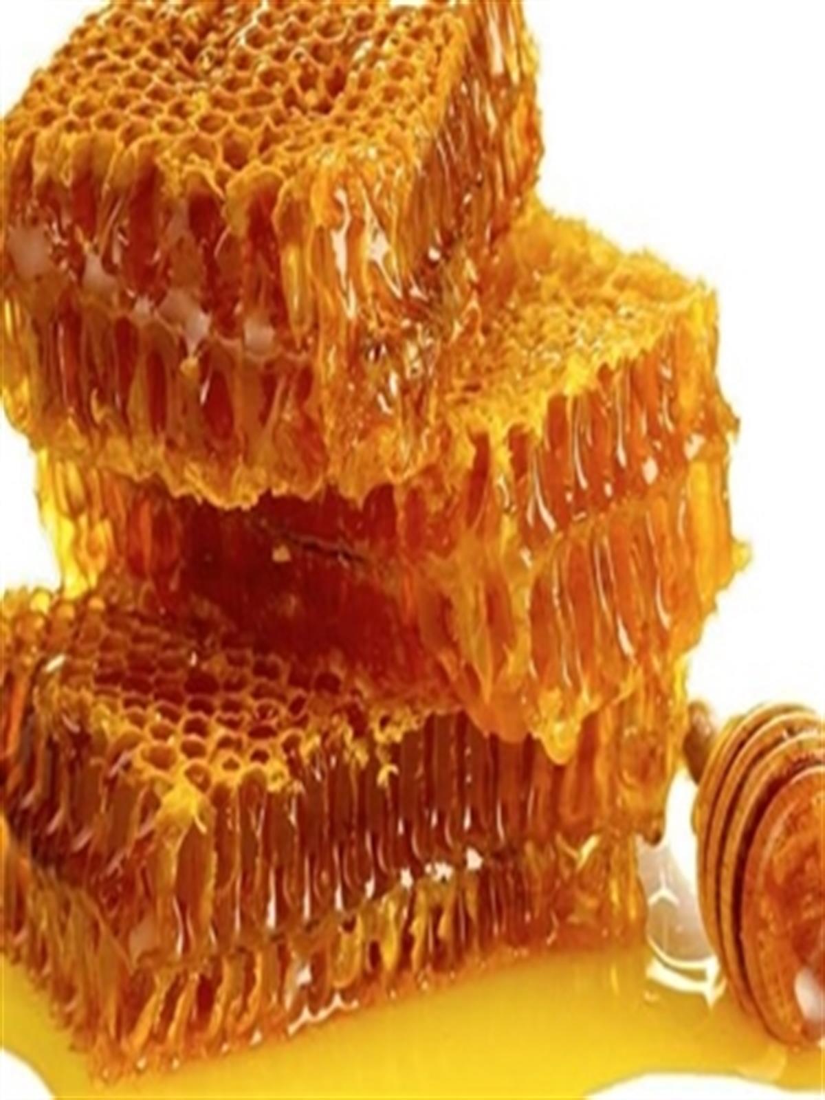 {KARAKOVAN PETEK BALI}