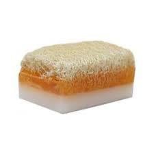 {KARAKOVAN PETEK BALI}