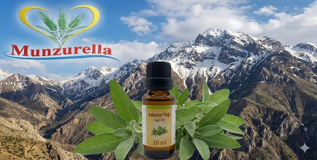 {KARAKOVAN PETEK BALI}