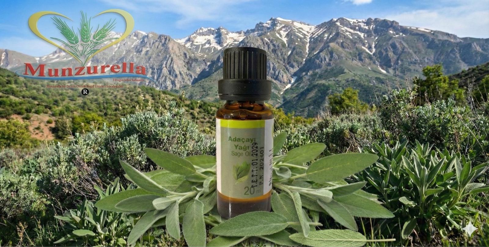 {KARAKOVAN PETEK BALI}