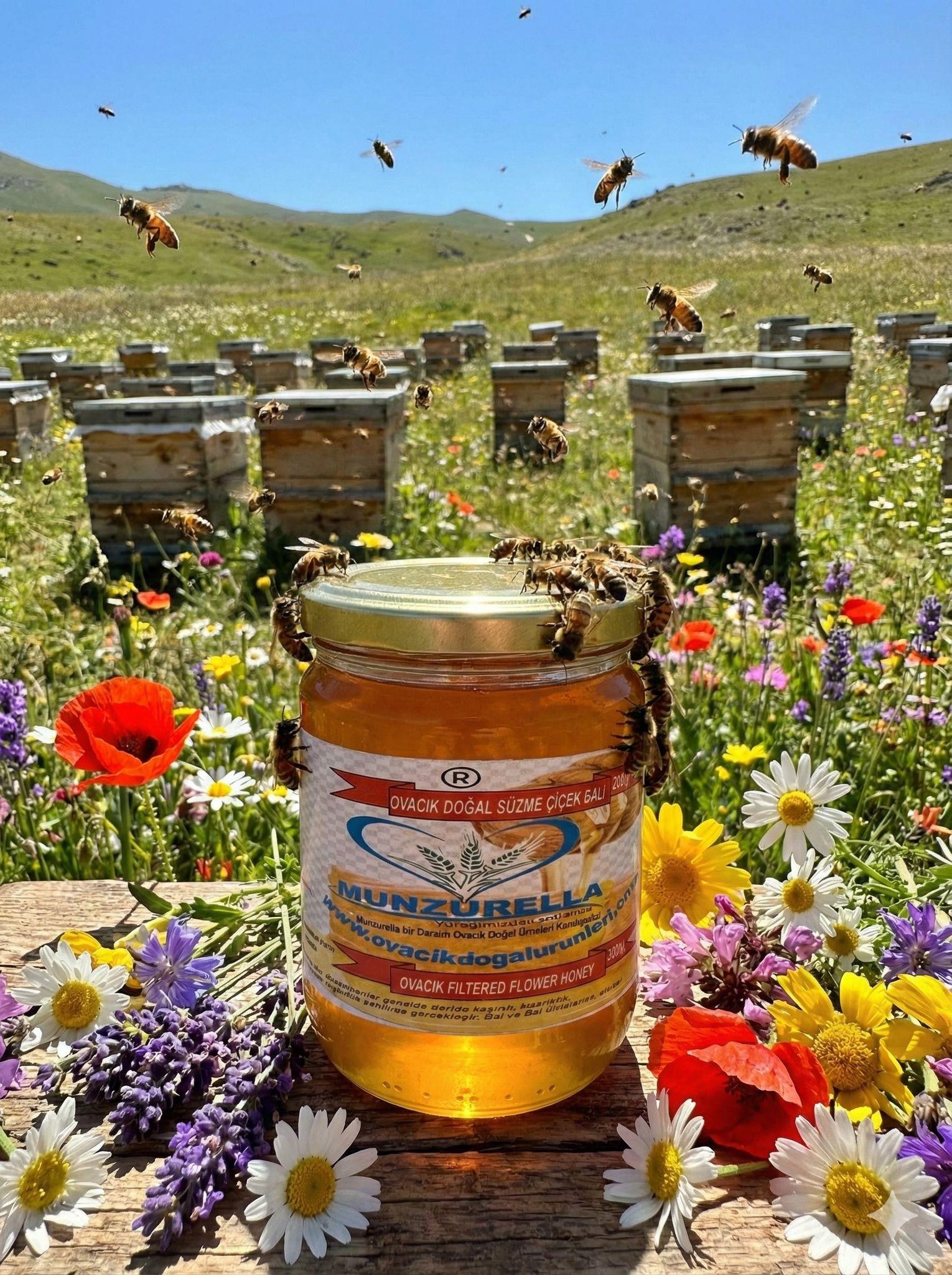 {KARAKOVAN PETEK BALI}