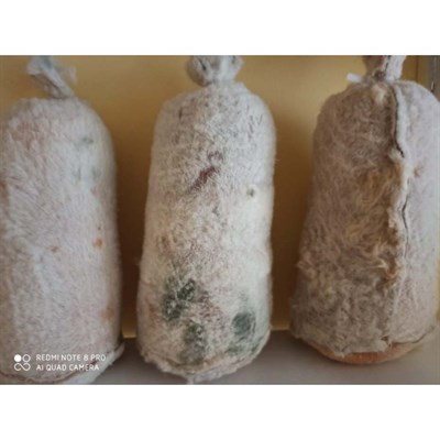 DERİ TULUM PEYNİRİ (1300GR-1600GR)