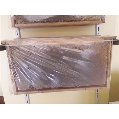 DOĞAL PETEK BALI (1KG)