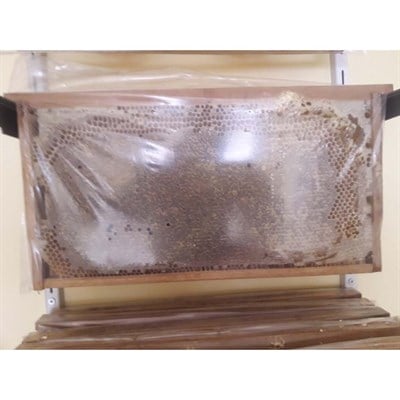 DOĞAL PETEK BALI (1KG)