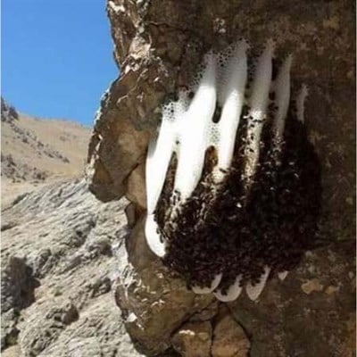 OVACIK NATUREL BAL (350GR)