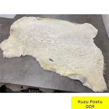 Fırsat 053, Kuzu Post 09