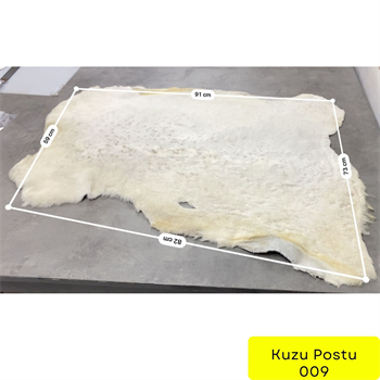 Fırsat 053, Kuzu Post 09